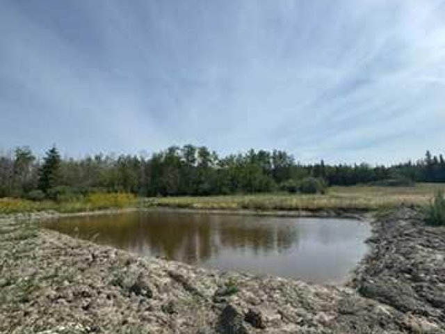 A2334764