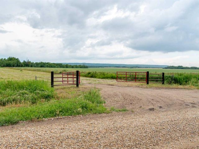 A2336667