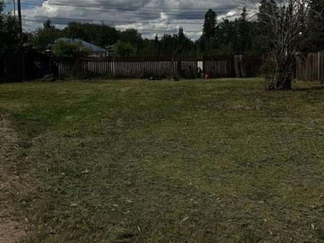 A2337415