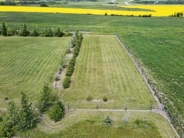 A2341706