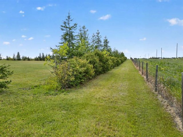 A2341706