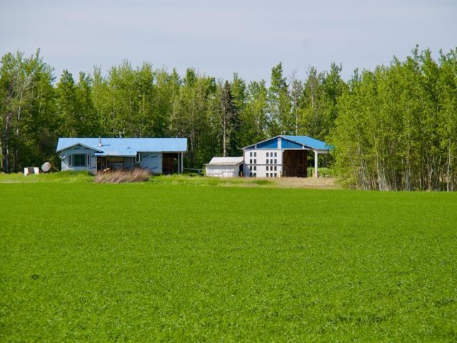 A2169426