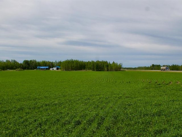 A2169426