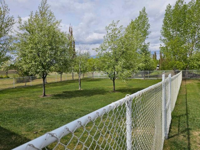 A2211446