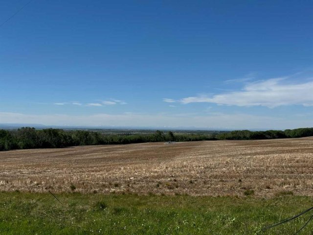 A2225253