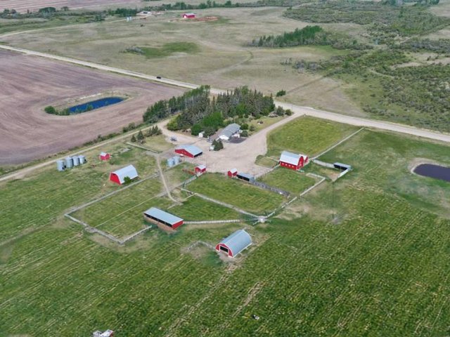 A2229713