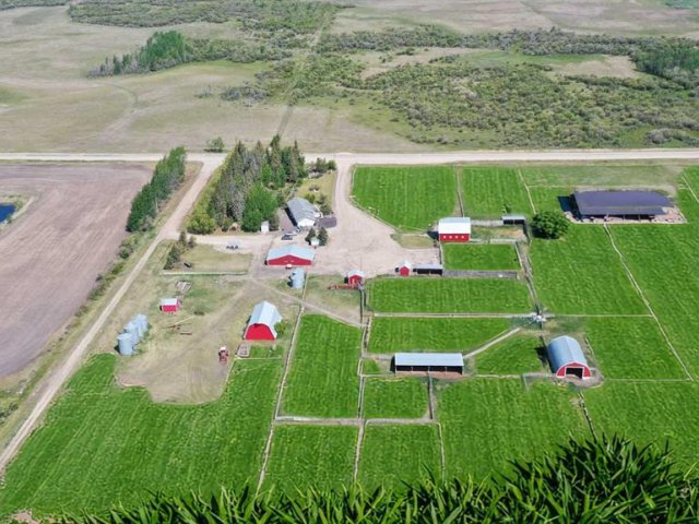 A2229713