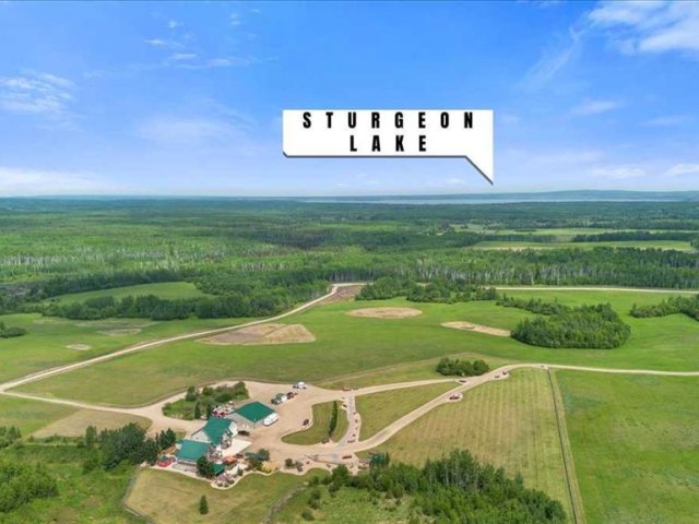 A2233594