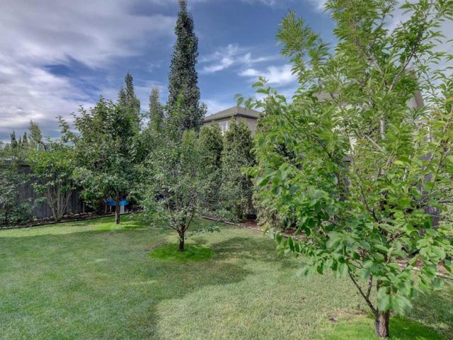 A2238294