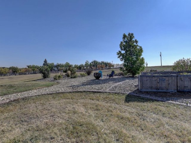 A2256529