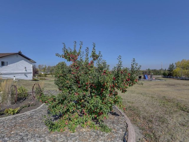 A2256529