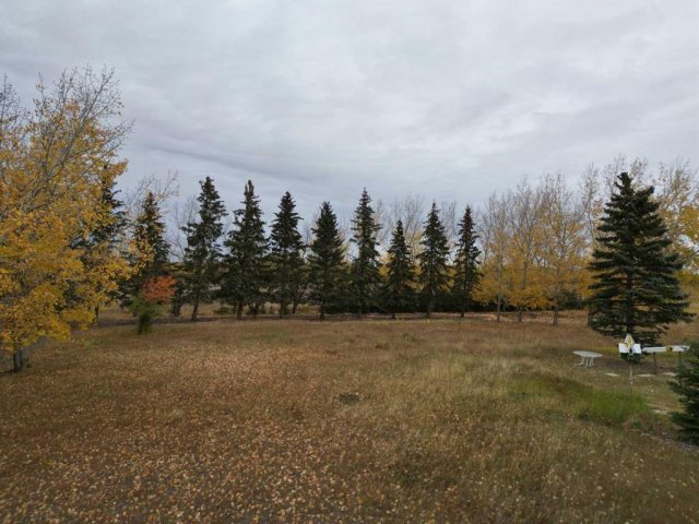 A2261395