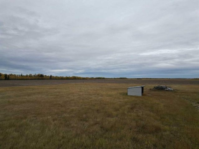 A2261395