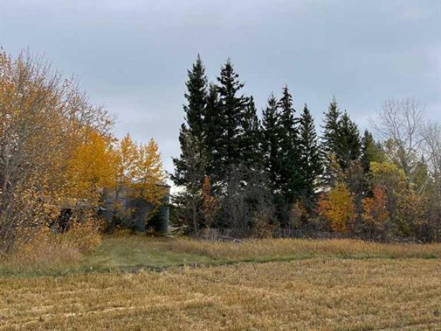 A2261437