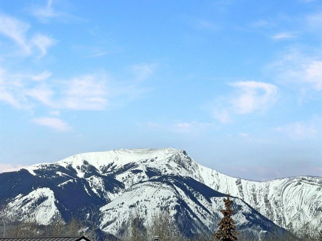 A2299423