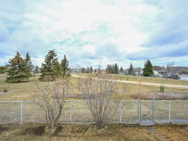 A2303779