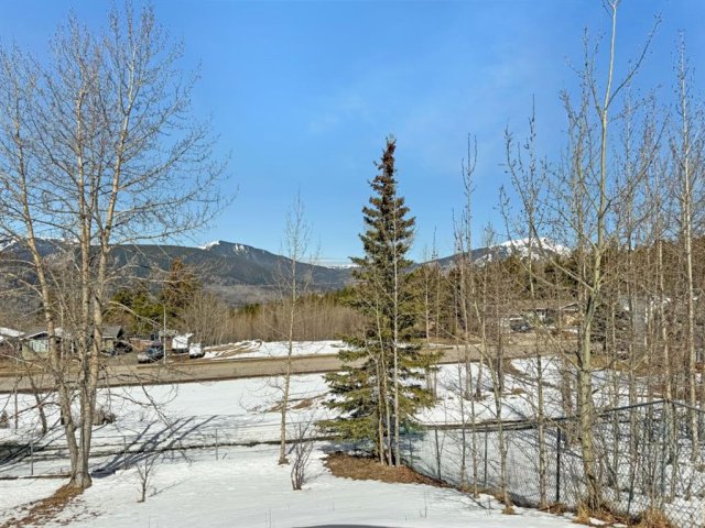 A2305368