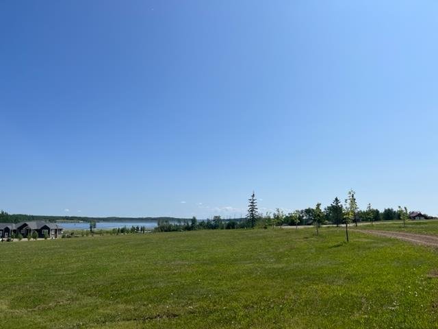 A2307142