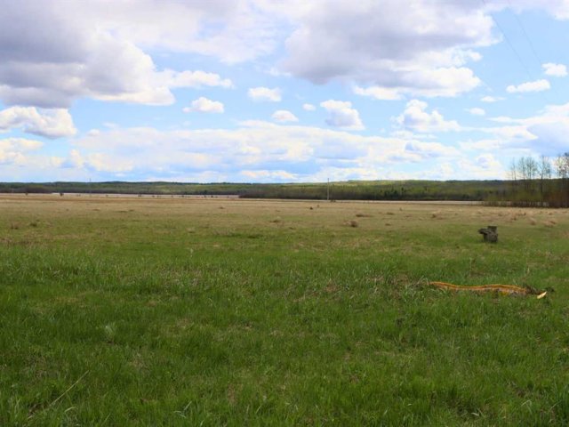 A2312368