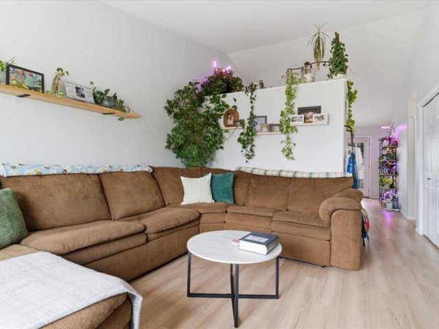 A2316804