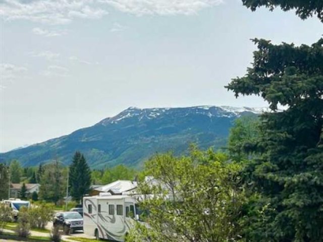 A2317556