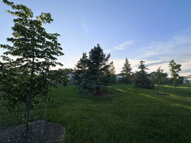 A2323663