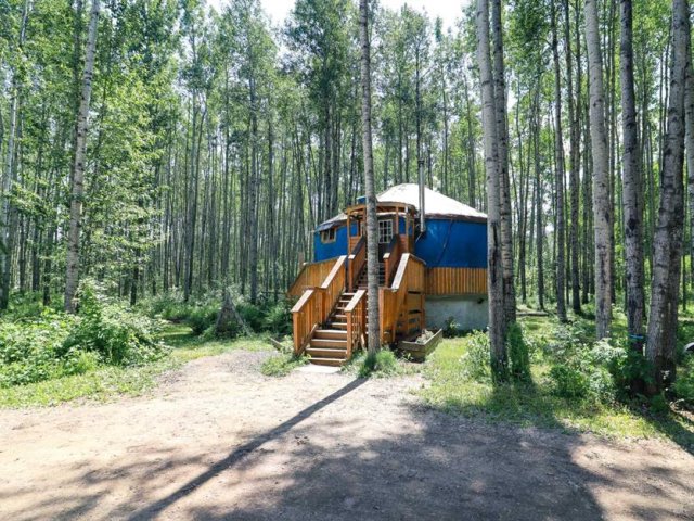 A2323919
