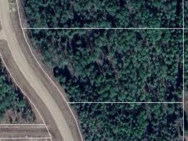 A2328593