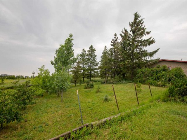 A2329107
