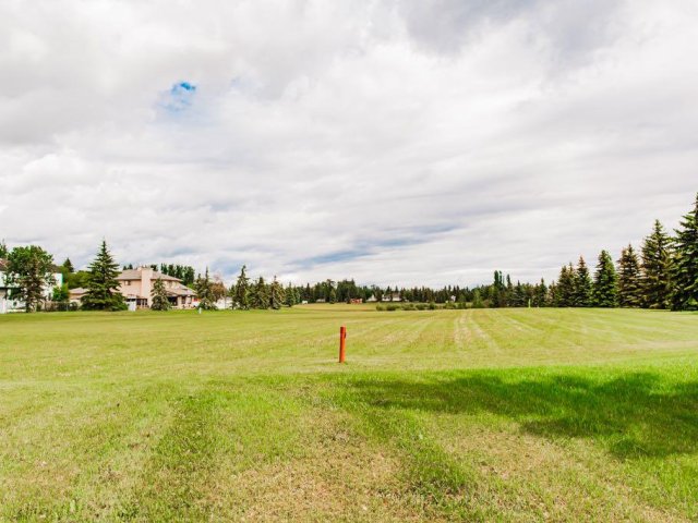 A2329826
