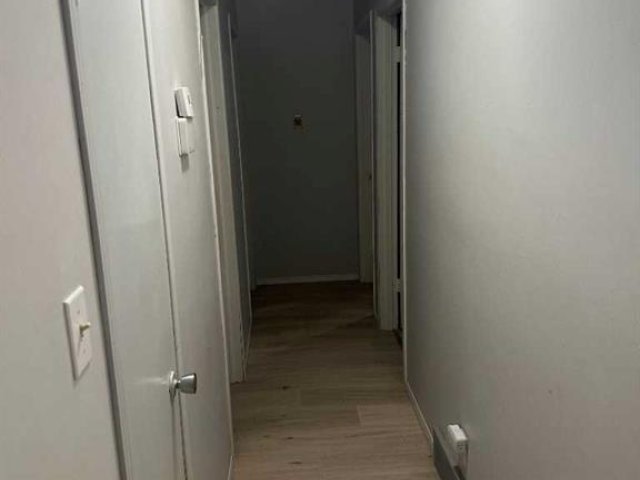 A2330538