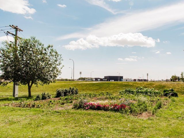 A2332546