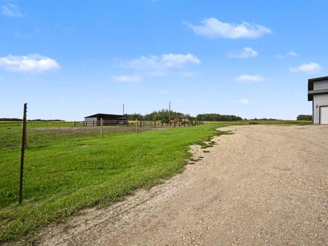A2333005