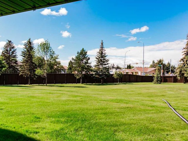 A2337129