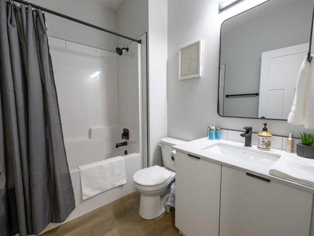 A2337513