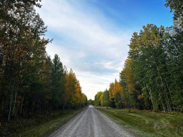 A2342134