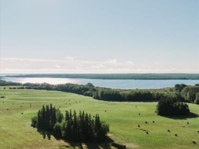 A2342953