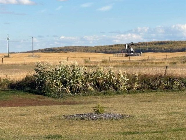 A2349894