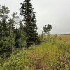 A2253952