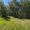 A2321995