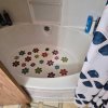 A2310391