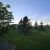 A2323663