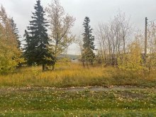 A2261483