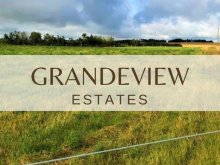 A2336204